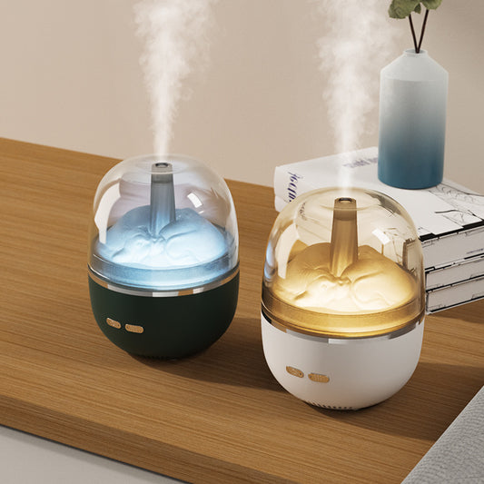 Ultrasonic Essential Oil Diffuser & Air Humidifier